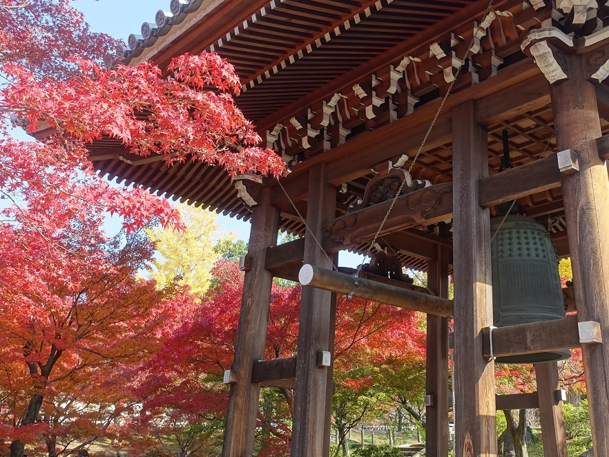 京都・智積院～燃えるように輝く参道の紅葉_d0136382_15195634.jpg