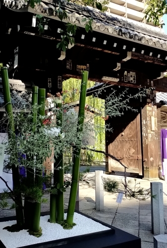 京都から帰る_d0195183_01333022.jpg