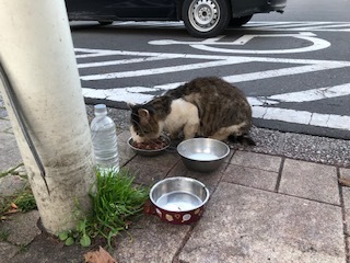 ロードバイクキャンプ 荷物コンパクト化への道④ ~夢の2ルーム編~ in白老キャンプフィールドASOBUBA_d0198793_14375992.jpg
