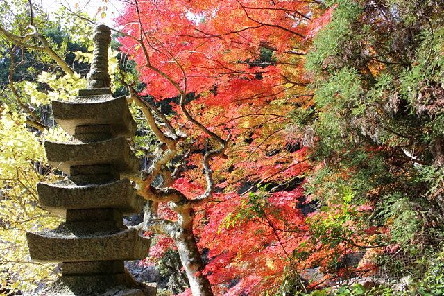 熊山　油滝沢から「とんがり山」へ！_f0325295_18354363.jpg