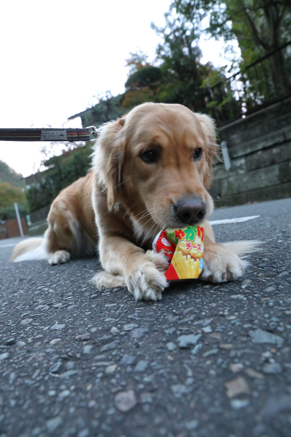 レディース♪_b0275998_12055300.jpg