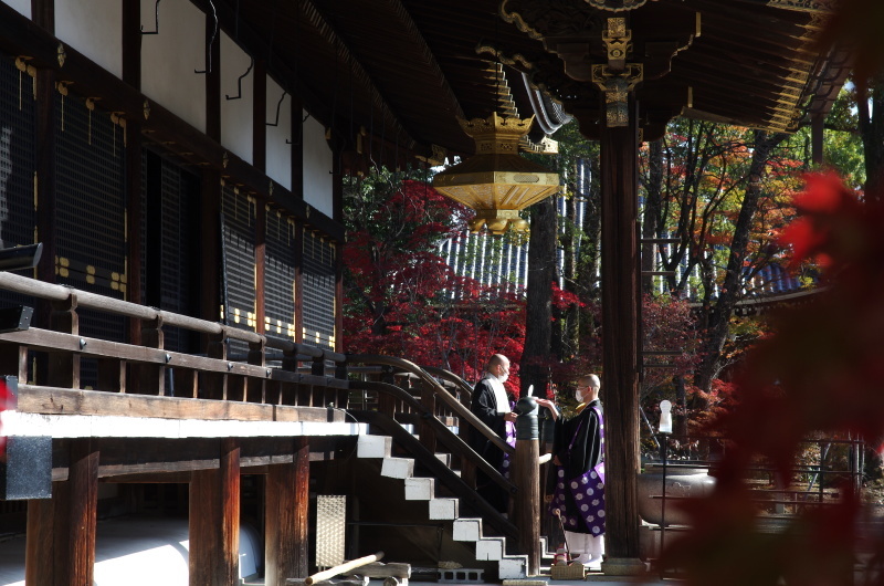 仁和寺 紅葉_c0382798_06563981.jpg