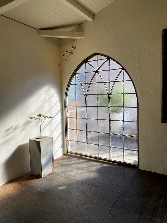 モリソン小林個展 自然礼賛2021 : PASSAGE