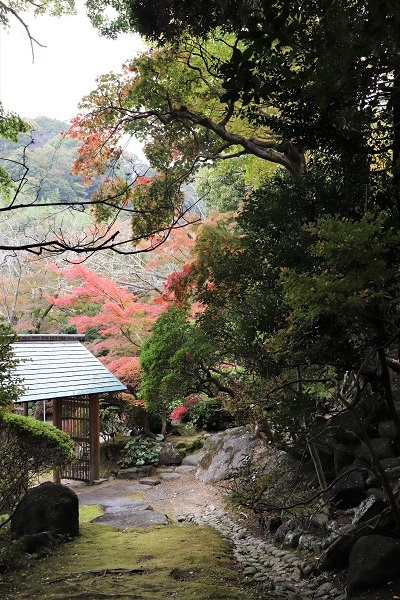 湘南庭園文化祭で旧山本条太郎別荘へ(2021.11.21)_e0245404_22071085.jpg