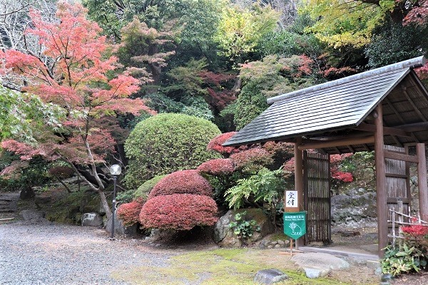 湘南庭園文化祭で旧山本条太郎別荘へ(2021.11.21)_e0245404_22071911.jpg