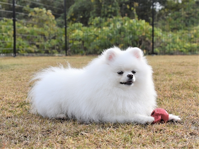 オトコってやつは!_d0360206_18193943.jpg