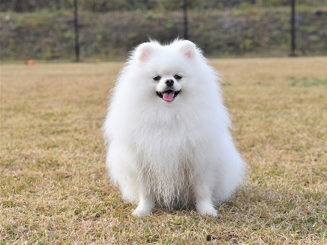 オトコってやつは!_d0360206_18193989.jpg
