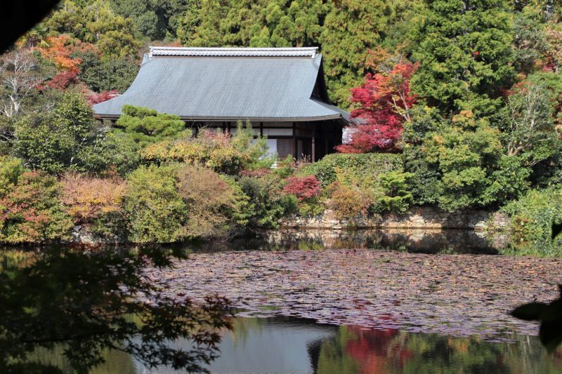 龍安寺　紅葉の盛り_e0048413_21492308.jpg