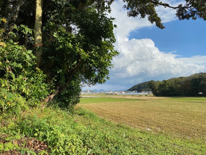 糸島の広々とした森の中で、新しいプロジェクトがスタートしました。_e0029115_10305575.jpeg