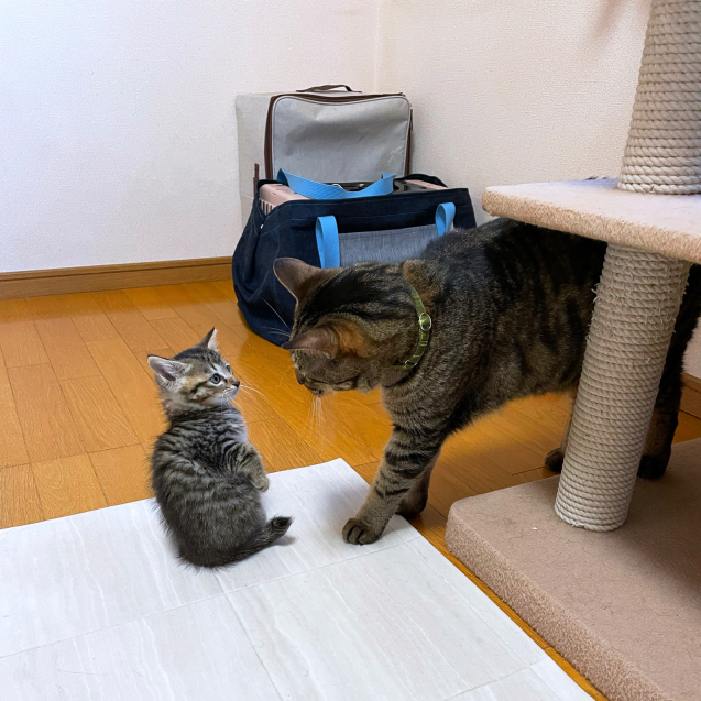 やさしくしてね。_d0355333_20513621.jpg