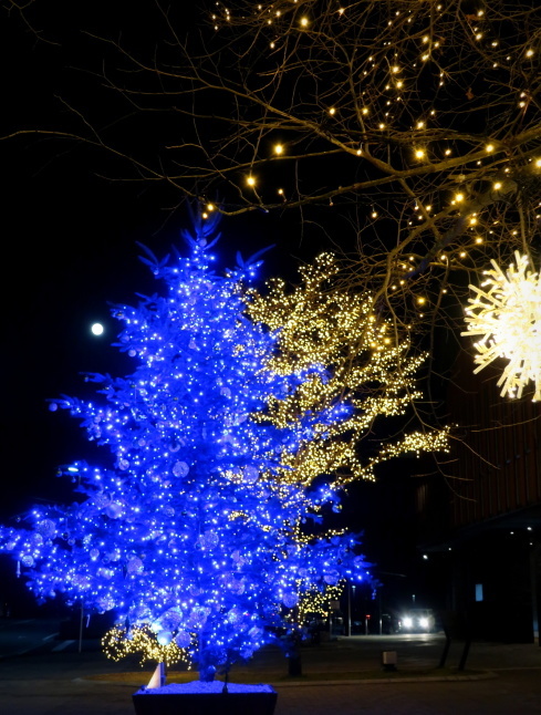 Karuizawa Winter Festival 2022 * 中軽井沢駅 くつかけテラスのイルミネーション☆_f0236260_02184903.jpg