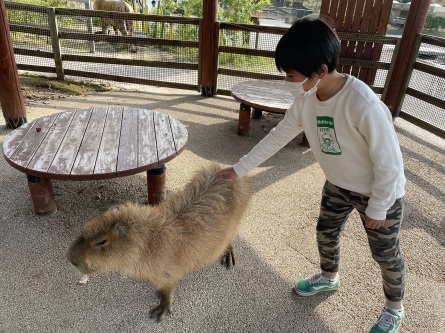 11/21 店長日記_e0173381_18352253.jpg