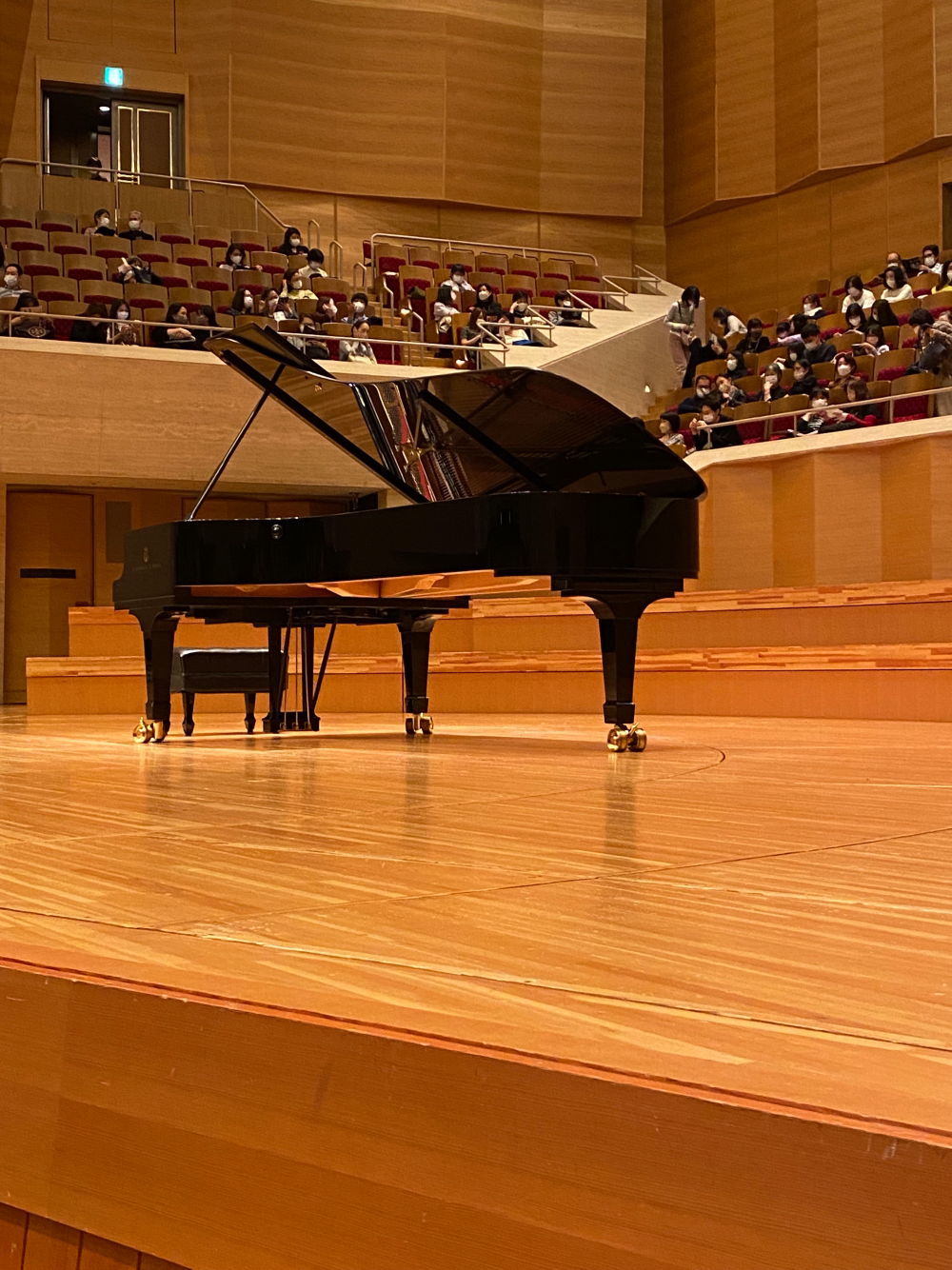 ダイヤくんと_b0275998_06463446.jpg