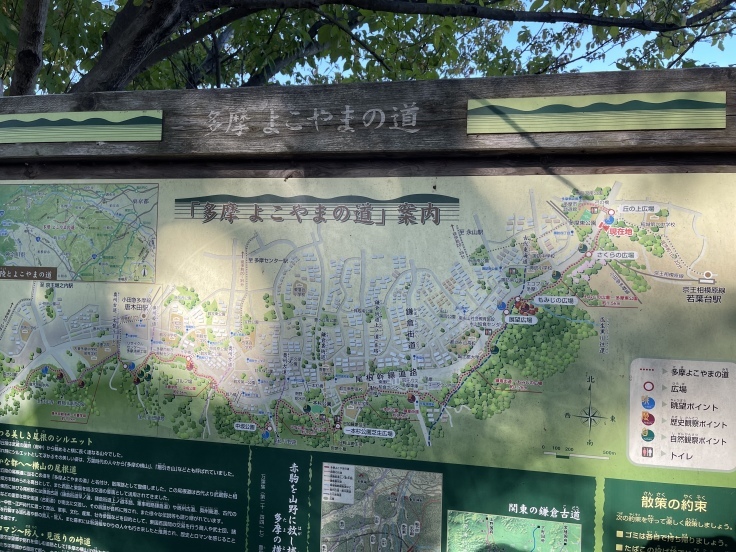 多摩さんぽ*女三人(11月13日朝)_c0212604_06333241.jpeg