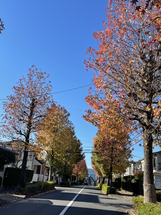 多摩さんぽ*女三人(11月13日朝)_c0212604_06371898.jpeg