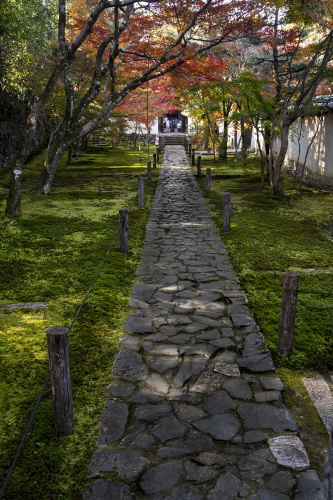 京田辺　一休寺　ハイキング_e0353934_15083795.jpg