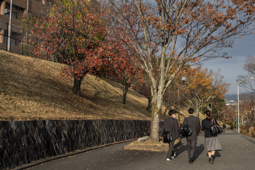 京田辺　一休寺　ハイキング_e0353934_15083901.jpg