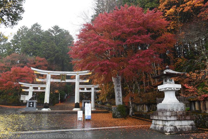 秩父 三峯神社 紅葉_e0362037_15290014.jpg