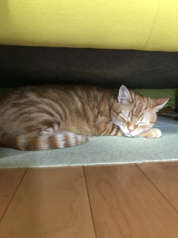 隙間_b0203758_15115599.jpeg