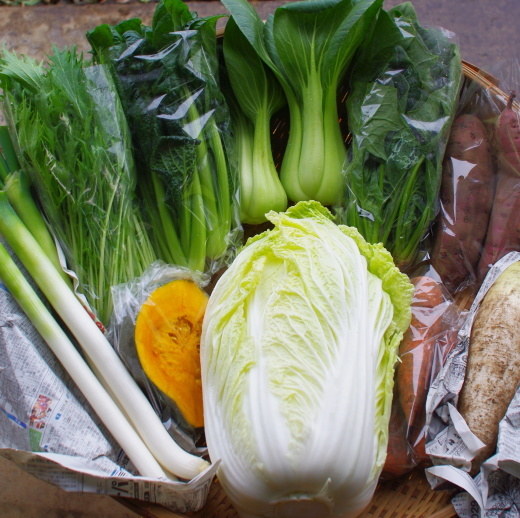 今週の野菜セット（11/23～11/27着）_c0110869_10575747.jpg