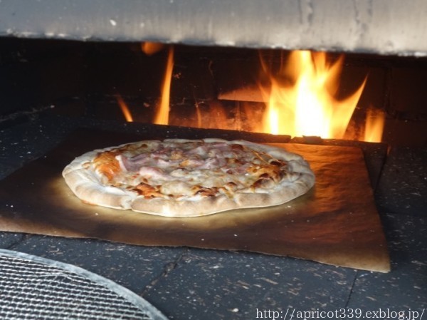 晩秋の休日の過ごし方　手作りピザ窯でお昼ごはん_c0293787_13362430.jpg