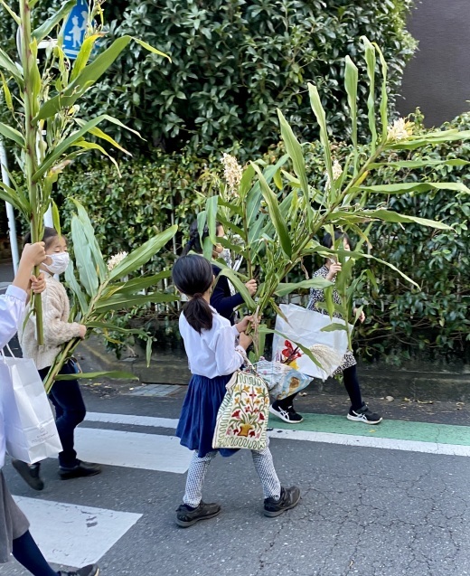 先日、花採取に夏の暑さで行かれなかったクラスで行ってきました_c0128489_18400047.jpeg