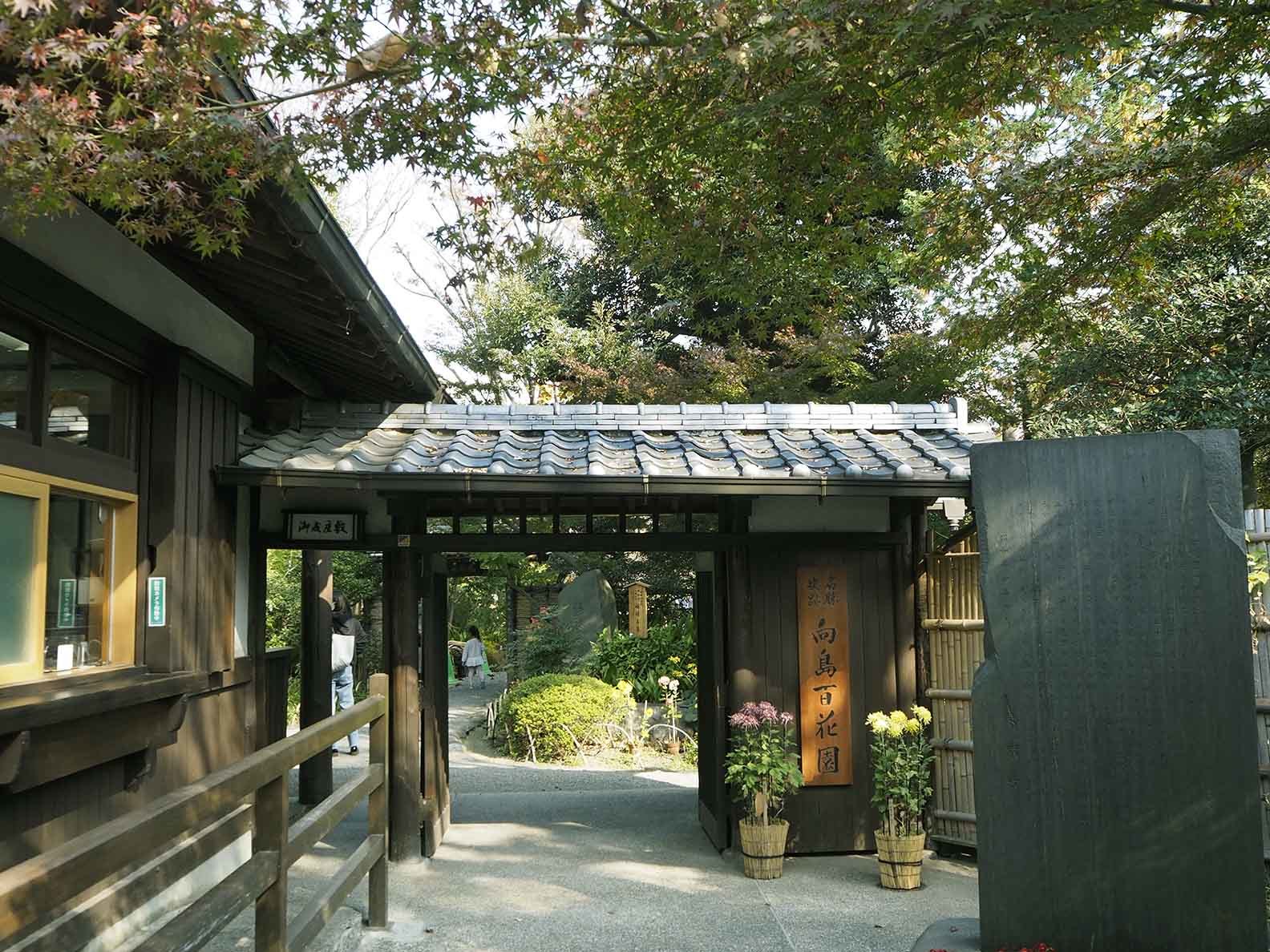 晩秋の向島百花園 自然観察大学ブログ