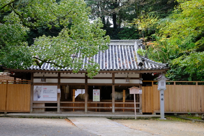 香川の旅 その２_e0000910_12062535.jpg