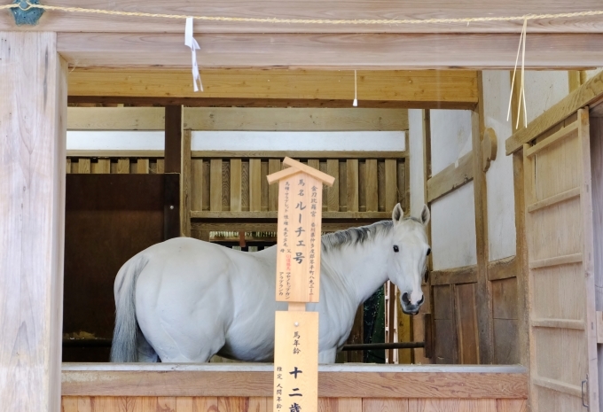 香川の旅 その２_e0000910_12081130.jpg