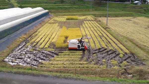 令和3年春からまとめて～！！_b0281312_16425733.jpg