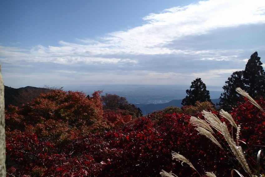 11月14日：大山へ_b0032437_09490144.jpg