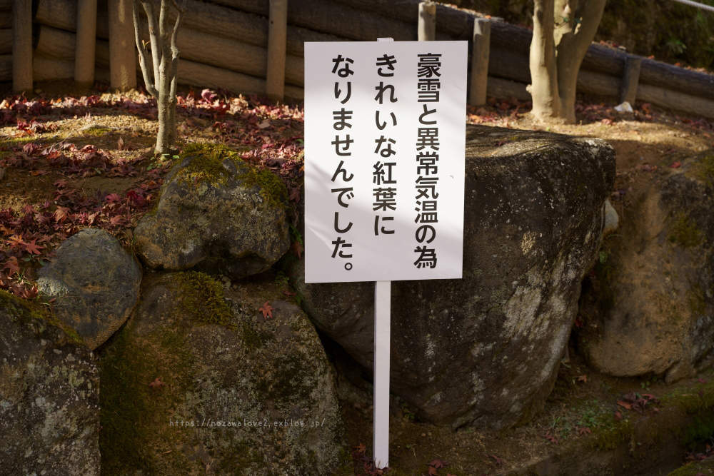上越市 国府もみじ園_b0404739_09302417.jpg