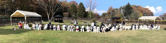 2021年秋 ルークくんを囲む会_f0128542_11260929.jpg