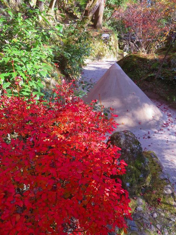 宝泉院「宝楽園庭園」20211119_e0237645_20181620.jpg