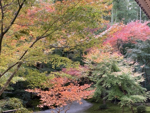京都・奈良の旅’21 秋その2_e0326953_15395959.jpeg
