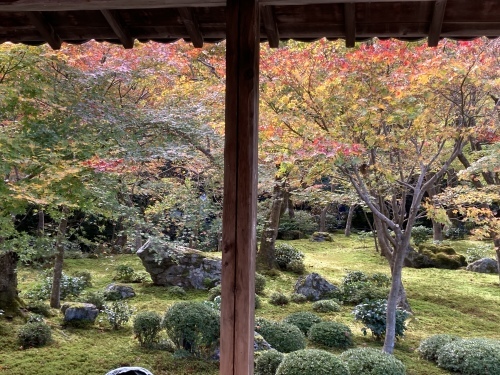 京都・奈良の旅’21 秋その2_e0326953_15501841.jpeg