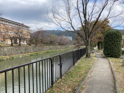 京都・奈良の旅’21 秋その2_e0326953_16110669.jpeg