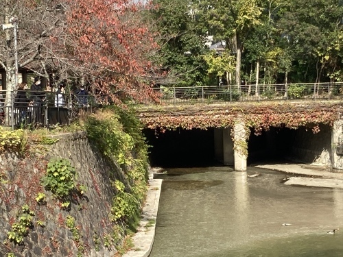 京都・奈良の旅’21 秋その2_e0326953_16112115.jpeg