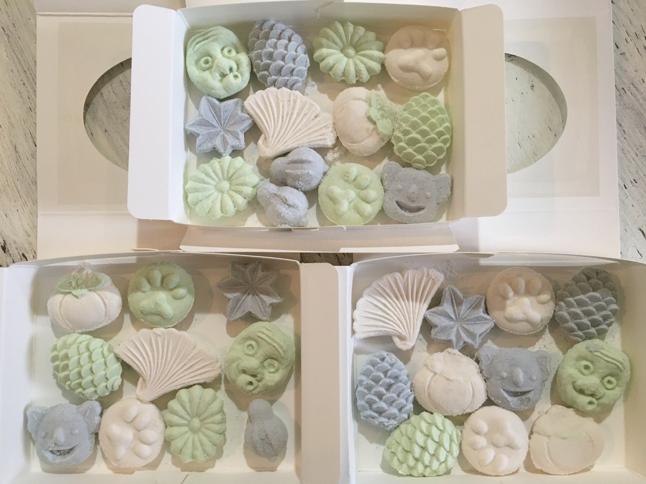 愛知より_c0227958_19054482.jpeg