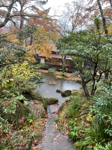 箱根の紅葉スポット「岡田美術館」_b0363271_13555383.jpg