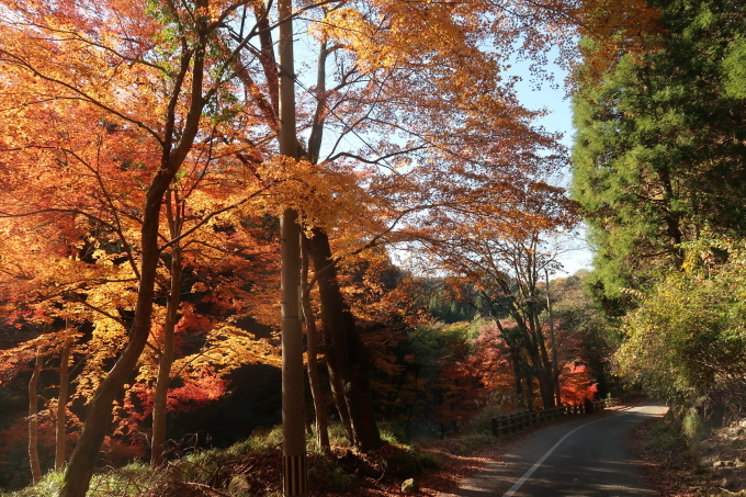 紅葉もあと少し　2　　深倉峡_b0302299_17224250.jpg