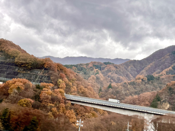 雨女 宿に到着する!!★諏訪湖への旅 11/22_c0212604_15581506.jpeg