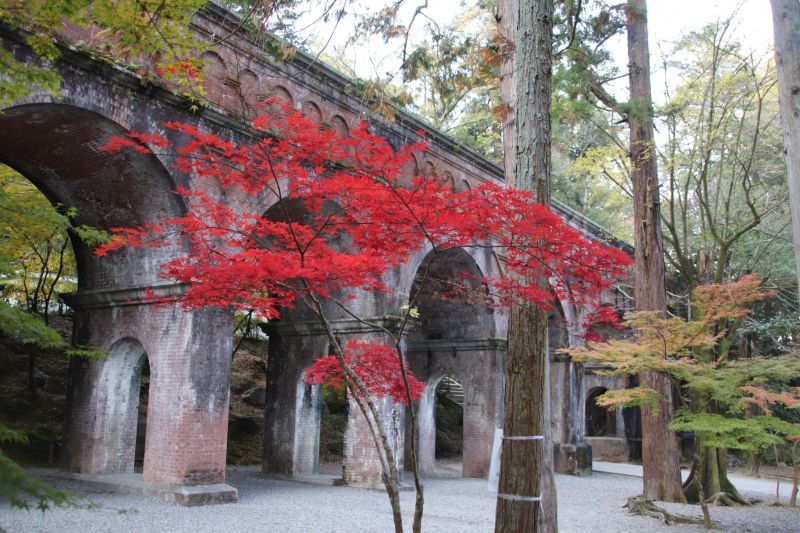 南禅寺でも紅葉が盛りに_e0048413_21583059.jpg
