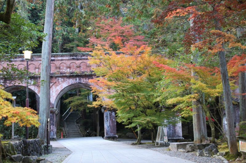 南禅寺でも紅葉が盛りに_e0048413_21583662.jpg
