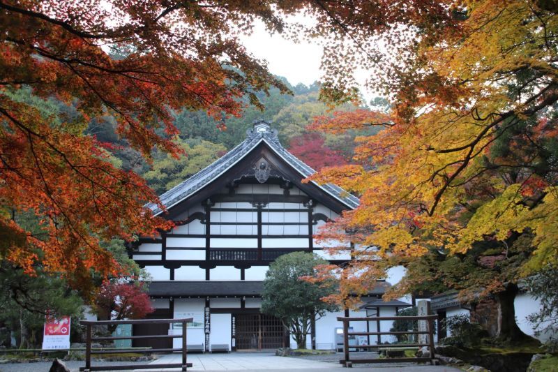 南禅寺でも紅葉が盛りに_e0048413_21584079.jpg