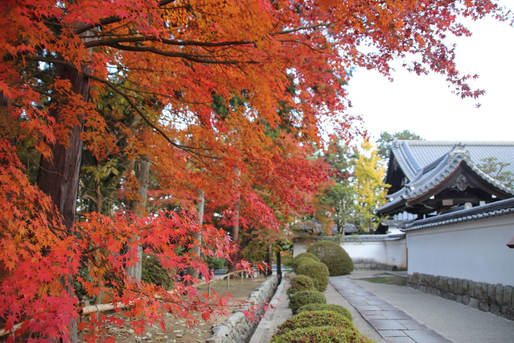 南禅寺でも紅葉が盛りに_e0048413_21584452.jpg
