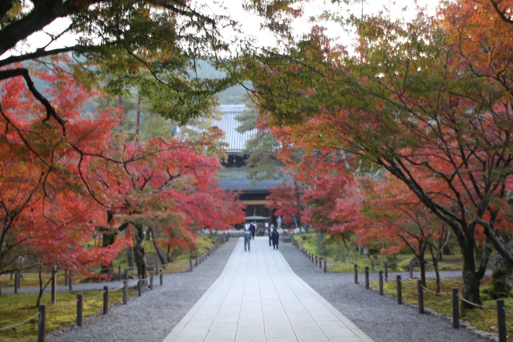 南禅寺でも紅葉が盛りに_e0048413_21585478.jpg