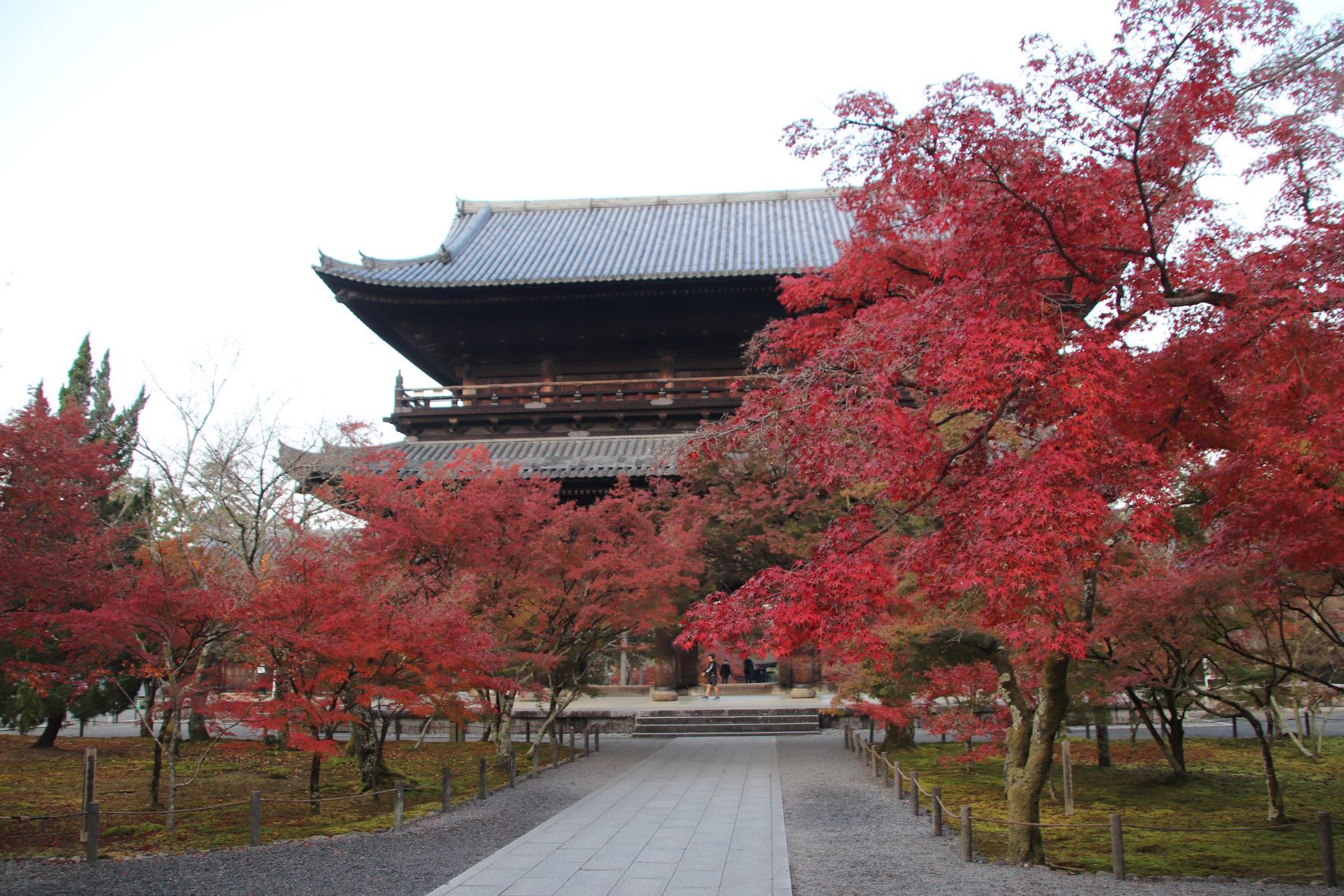 南禅寺でも紅葉が盛りに_e0048413_21585981.jpg