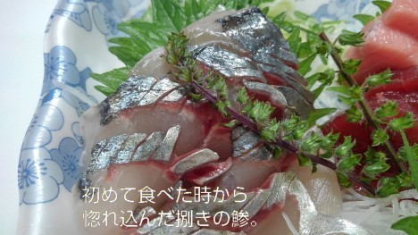 魚、酒、犬_b0339522_08330548.jpg