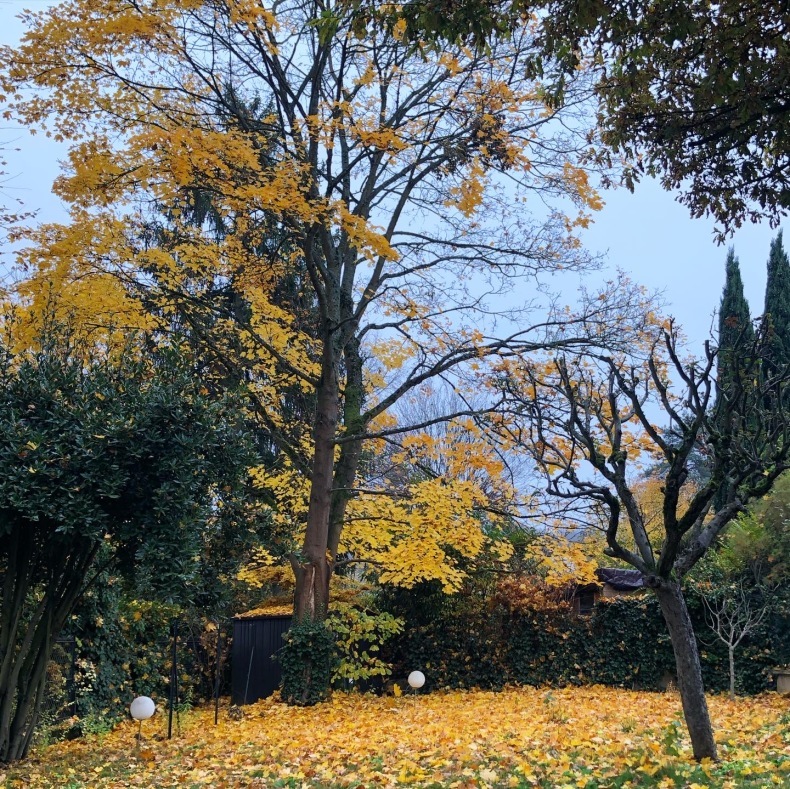 フランスの秋と日本酒のマリアージュ　庭の落ち葉と暖炉の炎を眺めつつ_a0231632_17331436.jpeg